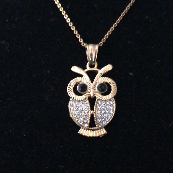 Jewelry - - Owl Pendant